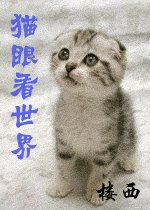 (獵人同人)貓眼看世界