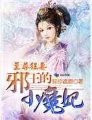 至尊狂妻:邪王的小魔妃