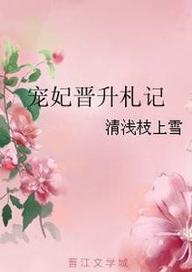 寵妃晉升札記