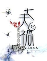 壞娘子:七夫之禍