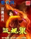 武魂界