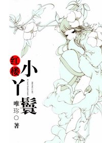 (紅樓同人)紅樓小丫鬟
