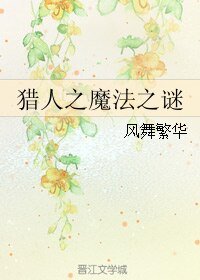 (獵人同人)獵人之魔法之謎