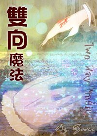 (fate zero 同人)雙向魔法