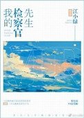 我的檢察官先生