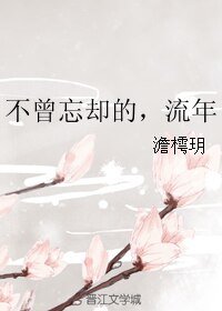 不曾忘卻的,流年
