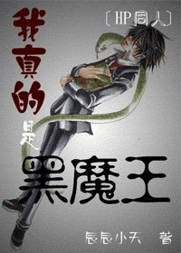 (HP同人)我真的是黑魔王