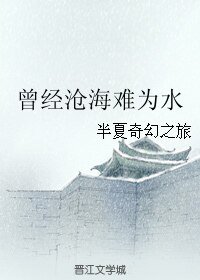 (血滴子同人)曾經滄海難為水