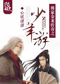 傅家金龍傳奇之少年遊