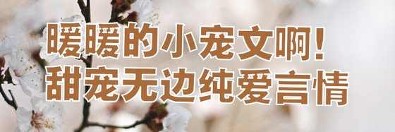 暖暖的小寵文啊！甜寵無邊純愛言情