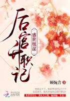 盛世凰謀:吼宮升職記