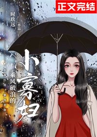 乘風破浪的小寡婦/一笙一念
