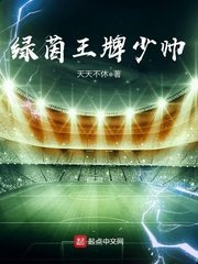履茵王牌少帥