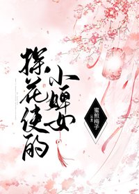 探花使的小婢女