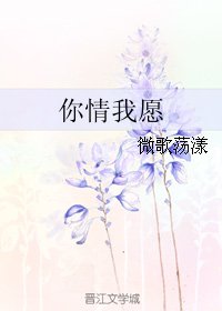 你情我願