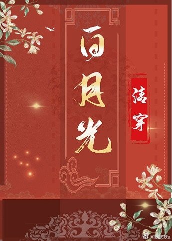 清穿之白月光（穿書）