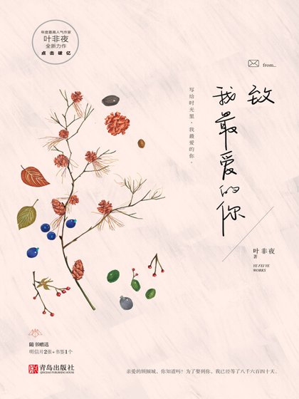 致我最皑的你