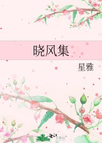 曉風集