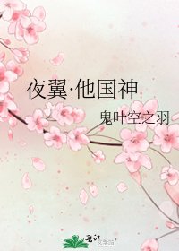 夜翼·他國神