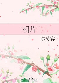 相片