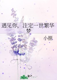 遇見你,註定一世繁華夢