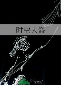 時空大盜