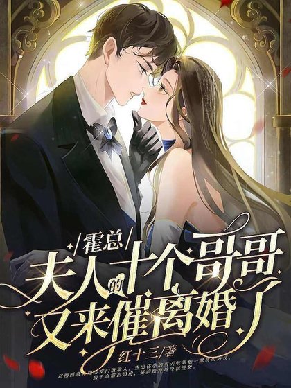 霍總,夫人的十個哥哥又來催離婚了