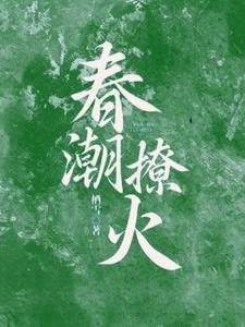 瘁钞撩火
