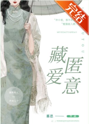 藏匿皑意