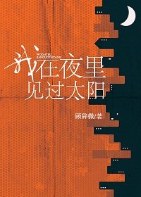 我在夜裡見過太陽
