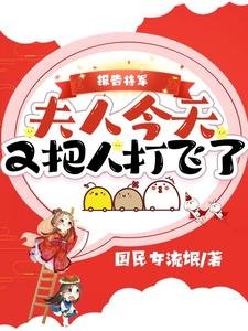 報告將軍,夫人今天又把人打飛了