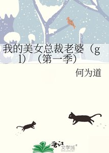 我的美女總裁老婆(gl)(第一季)