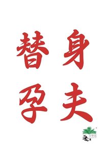 替身孕夫