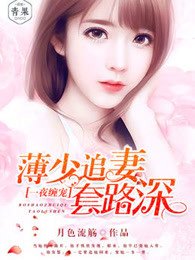 一夜纏寵,薄少追妻套路深