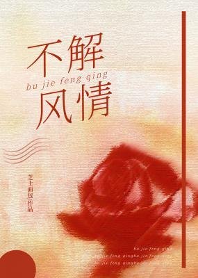 不解風情
