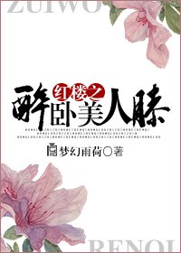 (BL/紅樓同人)紅樓之醉臥美人膝