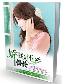 婚寵,嬌妻入懷/長官,誘妻成性