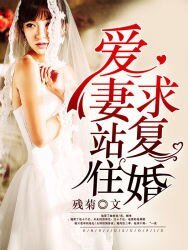 愛妻站住,求復婚